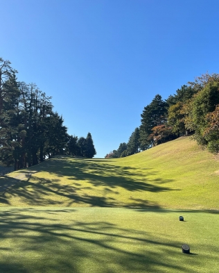 タイトルが入ります。