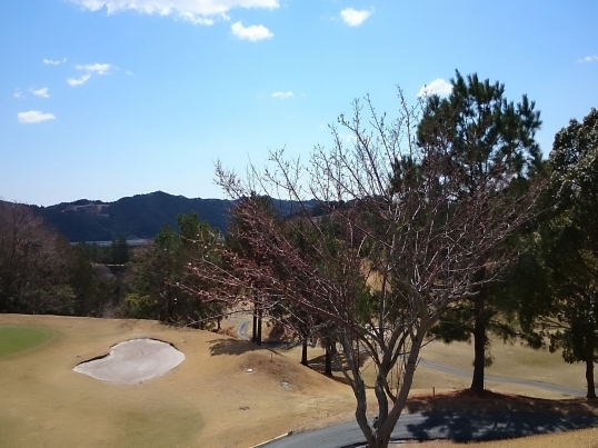 掛川グリーンヒルカントリークラブ