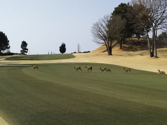 静岡カントリー浜岡コース＆ホテル