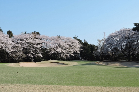 中山カントリークラブ